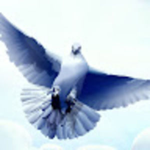 Meet your Posher, Connie